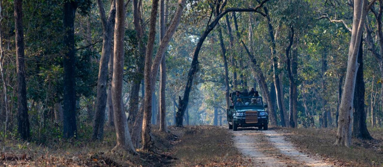 Banjaar Tola Kanha National Park - A Taj Safari Lodge Εξωτερικό φωτογραφία